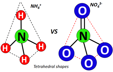 Shape of NO43- vs NH4+