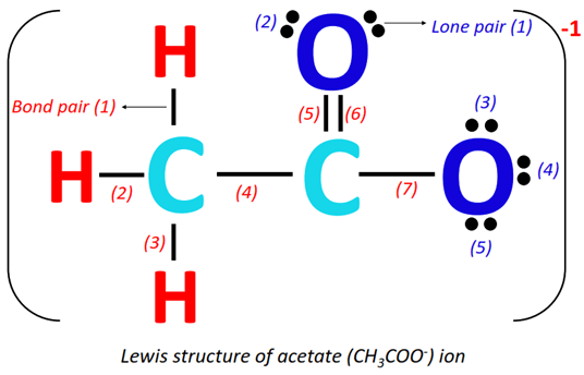 lone pair and bond pair in CH3COO- lewis structure