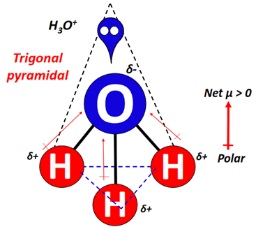 polarity of H3O+