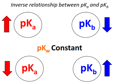 relationship between pKa + pKb = pKw