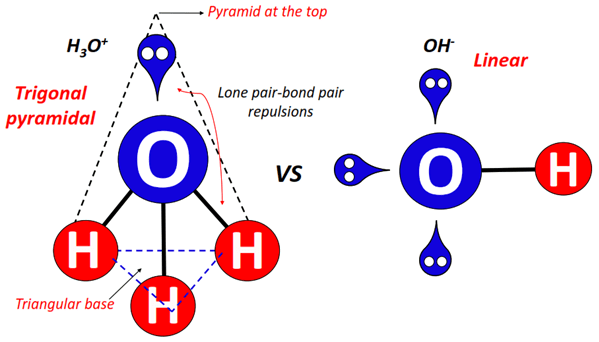shape of OH- vs H3O+