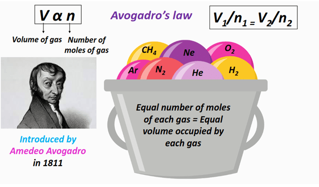 what is avogadro's law equation (V1/n1=V2/n2) in chemistry