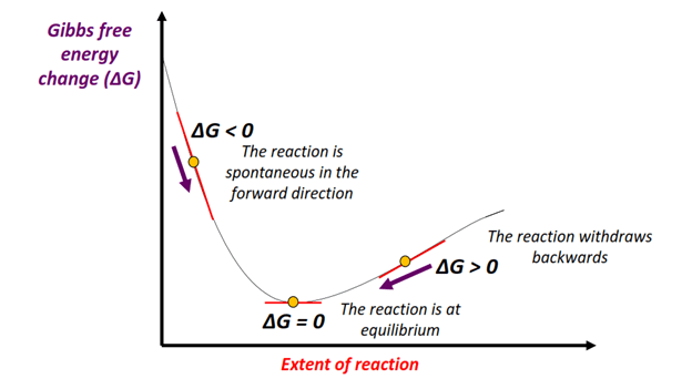 Delta G reaction graph