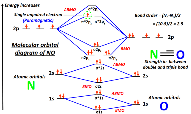 Molecular orbital diagram (MO) of Nitrogen monoxide (NO) and it's bond order