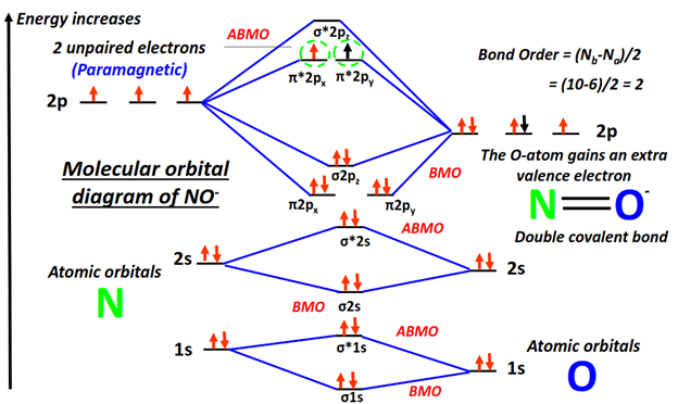 NO- Molecular orbital diagram (MO) and Bond order