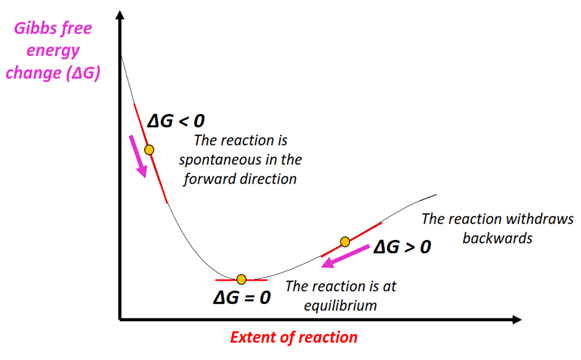 delta G reactions graph