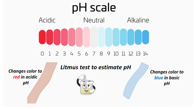 litmus test to estimate pH