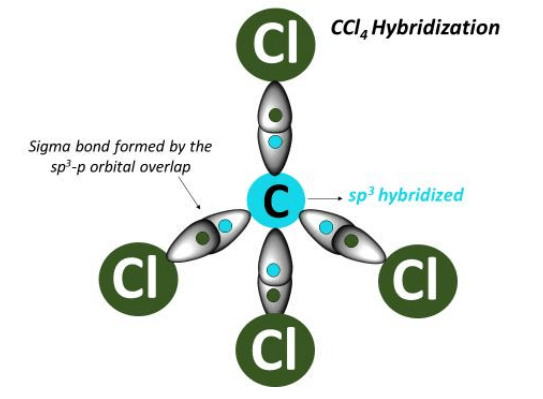 CCl4 hybridization