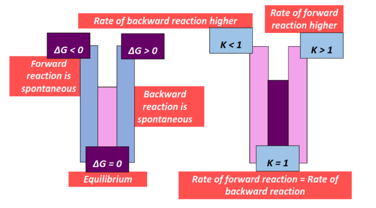 components of Delta G = -RTlnK